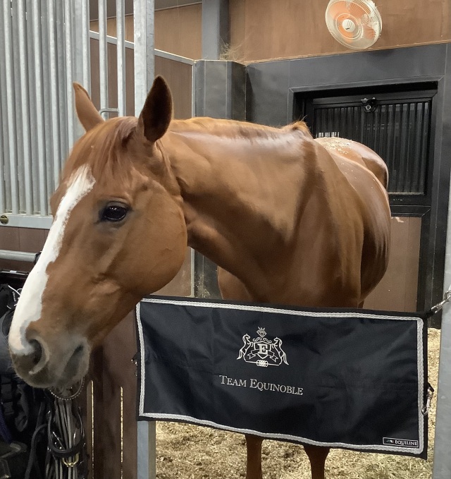 EQUILINE information 乗馬用品オンラインショップ equestrend